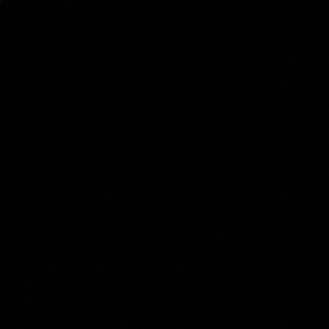 Meet your Posher, Hussein